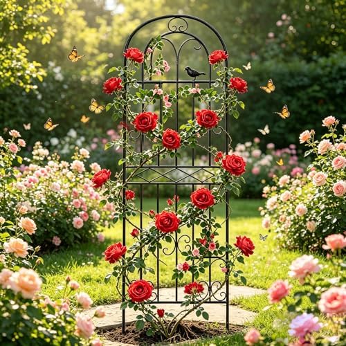 2 Pack 70.8"x19.7" Metal Gardon Trellis for Climbing Plants Outdoor, - Image 3