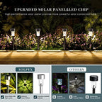 SOLPEX 16 Pack Solar Lights Outdoor, Stainless Steel Solar Pathway Lights - Image 5