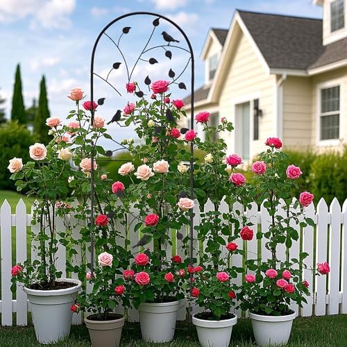 Garden Trellis for Climbing Plants, 71" H x 20" W, 2 Pack Heavy-Duty Metal Garden Trellis, Black Coated Rustproof Trellis for Plants Outdoor, Roses, Ivy, Flowers, and Vines - Image 7