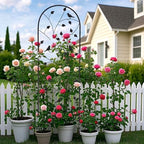 Garden Trellis for Climbing Plants, 71" H x 20" W, 2 Pack Heavy-Duty Metal Garden Trellis, Black Coated Rustproof Trellis for Plants Outdoor, Roses, Ivy, Flowers, and Vines - Image 7
