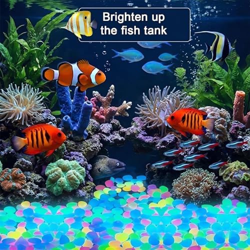 Colorful Glow-in-the-Dark Garden Stones Night Guide Pebbles Rainbow Glow in the Dark Rocks Outdoor Luminous Stones Aquarium Rocks for Garden Path Walkway Yard Fish Tank Decor (Multicolor,600) - Image 2