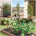 Tower Obelisk Garden Trellis for Climbing Plant，6.3FT/75.6" Rustproof Metal Potted Plant Climbing Support for Indoor Outdoor Flowers Vegetable Fruits Vines Support (2PCS) - Image 6