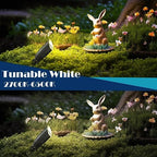 iYogaled RGB Low Voltage Landscape Lighting, Outdoor Spot Lights with Bulbs - Image 6