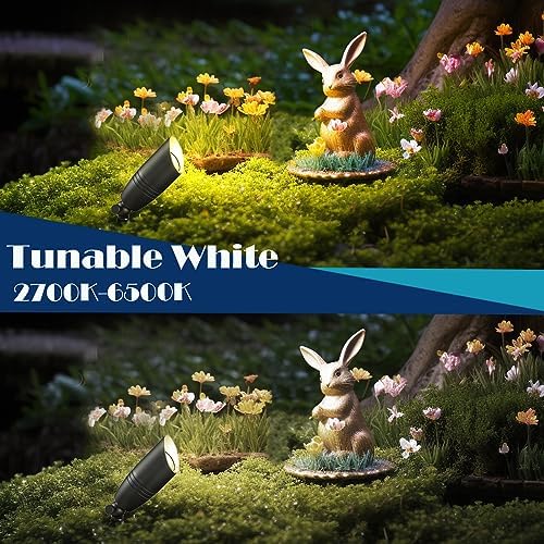 iYogaled RGB Low Voltage Landscape Lighting, Outdoor Spot Lights with Bulbs - Image 6