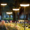 Solar Lights Outdoor Pathway 8 Pack IP65 Waterproof 31" Solar Garden Lights 2 Heights Adjustable Auto On/Off Lasting 12H for Walkway Patio Lawn Path Yard Plants Flower Beds Landscape Decor by Ainostone