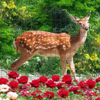 Green PVC Coated Welded Wire Fence 36" x 50' Roll, 2"x3" Mesh, 16 Gauge - Image 6