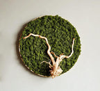 Preserved Reindeer Moss Natural Green DIY Kit Gardenning Art Wall Decor Florist Decor Easter Table Decor Wedding - Image 3