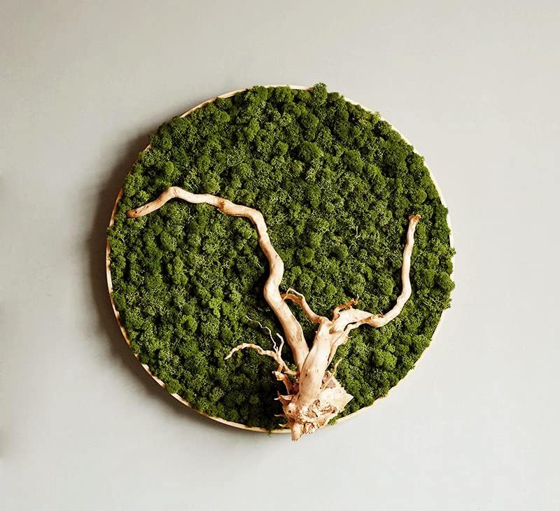 Preserved Reindeer Moss Natural Green DIY Kit Gardenning Art Wall Decor Florist Decor Easter Table Decor Wedding - Image 3