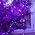 YIQU 2 Pack 144 FT 400 LED Solar Halloween Lights String Outdoor Purple - Image 7