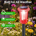 Eyrosa Solar Pathway Lights Outdoor Waterproof Starburst Pattern 15 Pack - Image 4