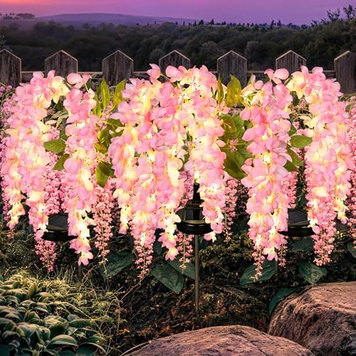 GIGALUMI 3 Pack Solar Wisteria Flowers Outdoor, 2 Modes, Pink by GIGALUMI