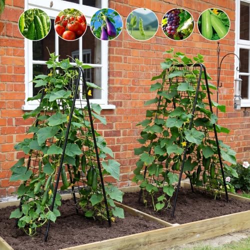 A-Frame Trellis for Climbing Plants Outdoor, 2 Pack Metal Garden Trellis - Image 5