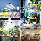 Wolezek Grow Lights for Indoor Plants Full Spectrum with Stand - Image 7
