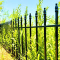 Thealyn 24" H x 24" W Decorative Metal Garden Fence, 10 Panels, 20 Ft by ThealynGardens