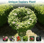 Umbrella Garden Trellis for Climbing Plants Outdoor, 82.7" Mushroom Top Trellis Stackable, Tall PE-coated Metal Obelisk Trellises for Potted Plants, Topiary Tower Vine Support for Rose, Bean, Clematis - Image 7