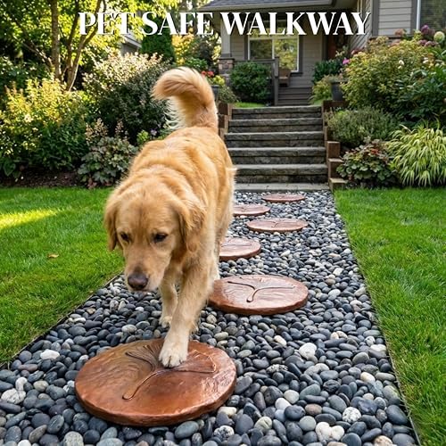 Stepping Stones Outdoor Set of 3, 10.8" Antique Ginkgo Bronze Garden Stones Outdoor Decorative Set – Grandma Mothers Day Gifts, Garden Memorial Stone for Loved Ones, Backyard Pathway Pavers, Walkway - Image 5
