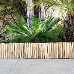 FOREVER BAMBOO Natural Eucalyptus Wood Solid Log for Garden Border Edging Landscaping Borders Lawn 72 in L x 12 in H x 1.25 in D - Image 6