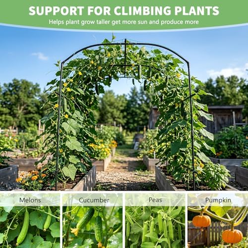 DoCred Garden Arch Trellis, 87''H x 75''L Metal Trellis for Climbing Plants - Image 5