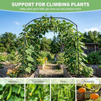 DoCred Garden Arch Trellis, 87''H x 75''L Metal Trellis for Climbing Plants - Image 5