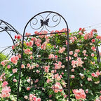 4 Pack Metal Garden Trellis 86.7" Tall Outdoor Climbing Plant Support for Roses, Flowers, Rustproof Durable Black Galvanized Tube, Lawn Garden Fence Decor Screen (4pcs, 86.7" H) - Image 3