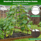 7.2FT Garden Arch Trellis for Climbing Plants, Heavy Duty Walk-Through Metal Arch with Netting, Wind-Resistant Vertical Garden Support for Cucumbers, Roses, Beans, Squash - Image 5