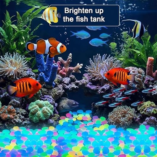 Glow-in-the-Dark Colorful Garden Stones - Luminous Solar-Powered Pebbles for Walkways, Landscaping, Planters, and Fish Tank Decor - Nighttime Outdoor Decoration (Blue, 400 Count) Yellow 400 - Image 6