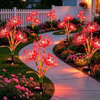 VOOKRY Solar Lights Outdoor, 4 Pack Red Spider Lily Garden Flower Lights - Image 4