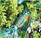 Ujicde 22.8Inch Peacock Statue Garden Ornaments Outdoor, Large Standing Metal Peacock Garden Sculpture, Garden Bird Art Decor for Yard Porch Patio (Color : A) - Image 7