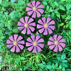 Rusty Metal Wild Flowers Garden Stakes 11.82 x 8.47 inches, Decorative Flowers Yard Stake Metal Art for Outdoor Garden Lawn Decor (Purple-1) - Image 4