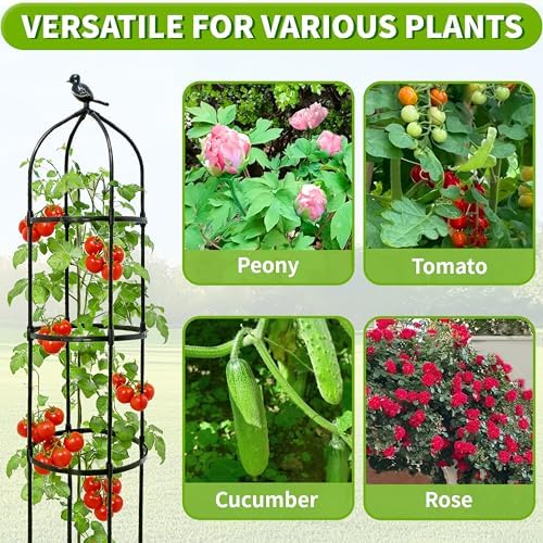 4-Pack 6FT Garden Obelisk Trellis for Climbing Plants,Adjustable 4-Tier Metal Plant Support,Rustproof Outdoor Plant Tower with 3 Decorative Tops for Roses,Tomatoes,Clematis & Vines,Black - Image 6