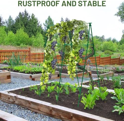 Large A-Frame Garden Trellis for Tomatoes, Cucumbers & Heavy Climbing Plants - Rust-Resistant, Heavy-Duty Steel, Perfect for Outdoor Gardens & Vertical Gardening(47" W x 63" H) - Image 6