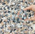 FANTIAN 10 lbs Pebbles for Landscaping, 3/8 Inch Pea Gravel for Plants by FANTIAN-GardeningMakesLifeBetter