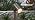 Cheopha 12V Landscape Path Light Aluminum Adjustable Spotlights 5W 2-Pack - Image 7