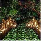 Glowing Stone Green Pebbles in The Dark, Luminous Rocks for Indoor and Outdoor Decoration, Garden Lawn Yard, Aquarium Walkway, Fish Tank Decoration (Size : 300PCS) - Image 3