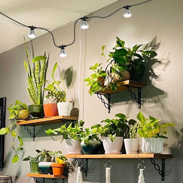 SANSI Hanging Grow Light for Indoor Outdoor Plants, 72W IP65 Waterproof - Image 2