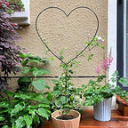 2 Pack 34Inch Garden Trellis for Climbing Plants, Meatal Heart Shape Plant Support Decorative Plant Trellis Potted Vines Vegetables Flowers Rose Jasmine Pea Clematis Ivy Cucumbers - Image 3