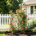 2 Pack Black Metal Garden Trellis Rustproof Plant Support Frame - Image 7