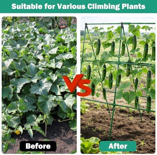 3 Packs Cucumber Trellis for Raised Bed, 50" x 33" A-Shape Garden Trellis for Climbing Plants, Outdoor Metal Arch Vegetable Plant Support for Tomato, Cucumber, Pea, Zucchini & Vine Plants - Image 2