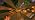 Solar Globe Lights Outdoor Waterproof-Solar Balls-Solar Garden Lights Orbs - Image 7