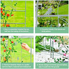 Sungmor Large Metal Garden Trellises for Climbing Plants - 82.5 Inch Tall & 2PC Green Pack - Beautiful Retro Style Metal Fence Trellis - Gardening Vines Plant Support for Flower Rose Climbing - Image 5