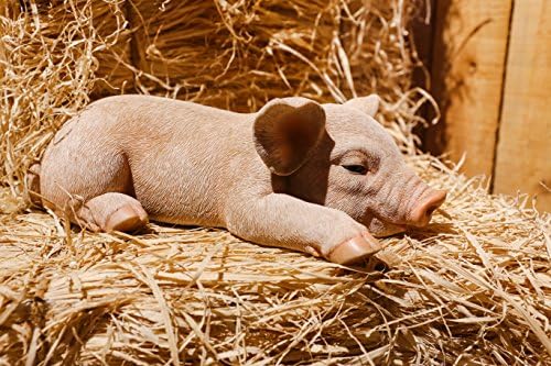 Hi- Line Gift 87686-A Pig Sleeping Statue by HI-LINEGIFTLTD