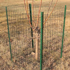 Black PVC Coated Welded Wire Fence 48" x 100' Roll, 2"x3" Mesh, 16 Gauge - Image 5