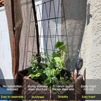 RIFNY Cucumber Trellis for Raised Bed, Garden Trellis 16.5 x 40 Inch, Green - Image 2