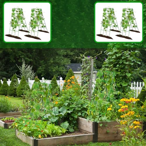 No Assembly Required Cucumber Trellis,2 Pack Trellis for Cucumbers,Outdoor Raised Bed Climbing Plant Support,A-Frame Garden Frame,Used for Vegetables,peas,Tomatoes,Squash,Melon and Fruit Frame - Image 6
