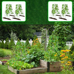No Assembly Required Cucumber Trellis,2 Pack Trellis for Cucumbers,Outdoor Raised Bed Climbing Plant Support,A-Frame Garden Frame,Used for Vegetables,peas,Tomatoes,Squash,Melon and Fruit Frame - Image 6