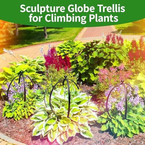 2PCS Large Garden Obelisk Trellis for Climbing Plants 25.5"X21.5" Metal Round Trellis for Outdoor Potted Sphere Frame for Roses Vines Support, Urn Filler Patio Doorway Courtyard Decor, Easy Assembly - Image 6