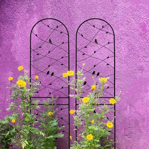 4 Pack Metal Garden Trellis 86.7" Tall Outdoor Climbing Plant Support for Roses, Flowers, Rustproof Durable Black Galvanized Tube, Lawn Garden Fence Decor Screen (4, Black birds-86.7" H) - Image 6