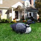 Loon Outdoors Bird Garden Decor Backyard Birds Statues Cute Sculpture - Image 5