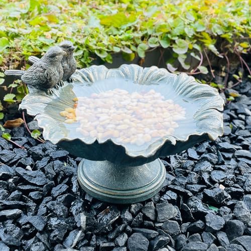 Bird Baths for Outdoors, Resin Pedestal Bird Bath Bowl with Bird Accents, Garden Decoration Bird Feeder for Patio, Lawn, Yard, or Table Decor by Unknown