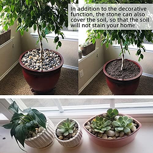 Anothera 18-lb Bulk Bag Pebbles for Plants 1-1.5 ” Aquarium Gravel River Rocks Garden Outdoor Decorative Stones - Image 6